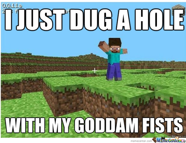 Funny Minecraft Memes dug a hole