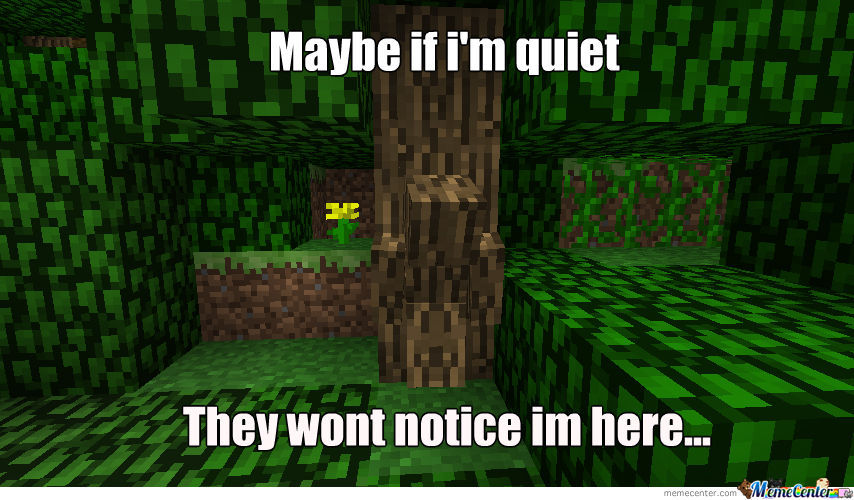 Minecraft hide and seek meme