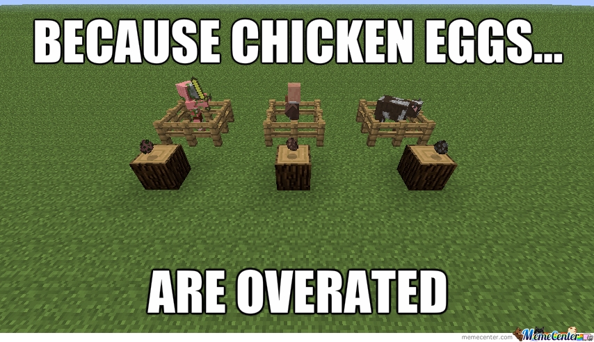 Funny Minecraft Memes with chickens