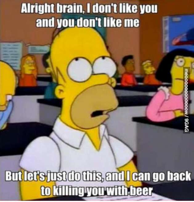 Funny Simpson Memes with Homer