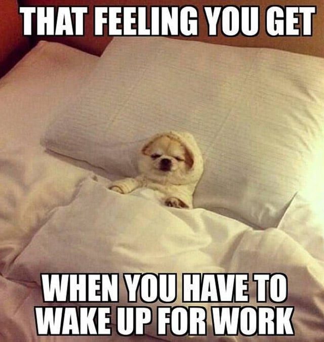 Funny work memes about going to work