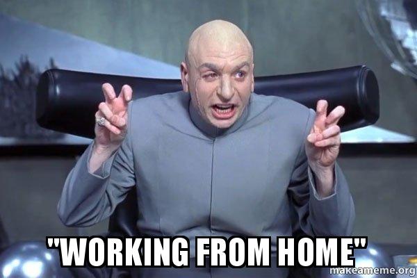 memes about working from home