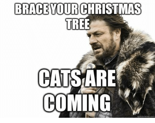 Brace Your Christmas Tree Cats Are Coming