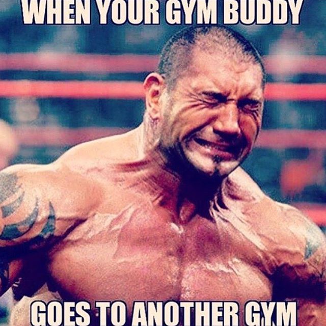 Funny Bodybuilding Memes