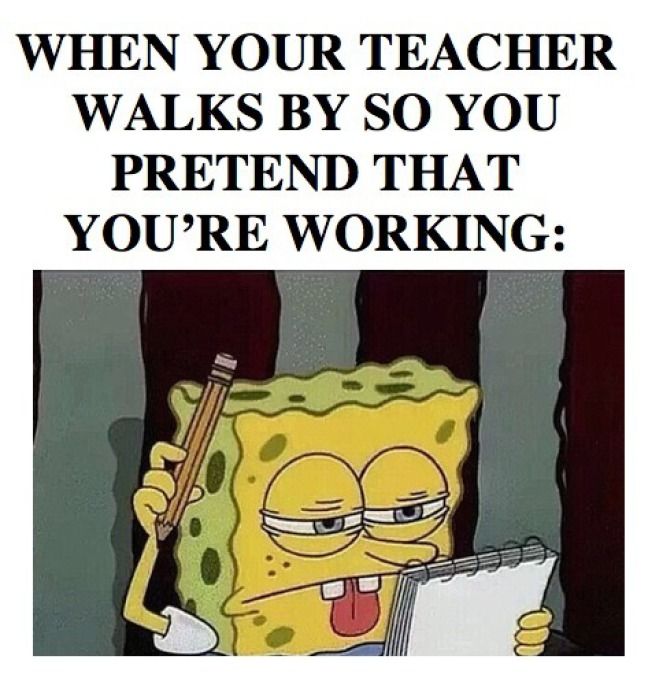 Funny Student Memes about teachers