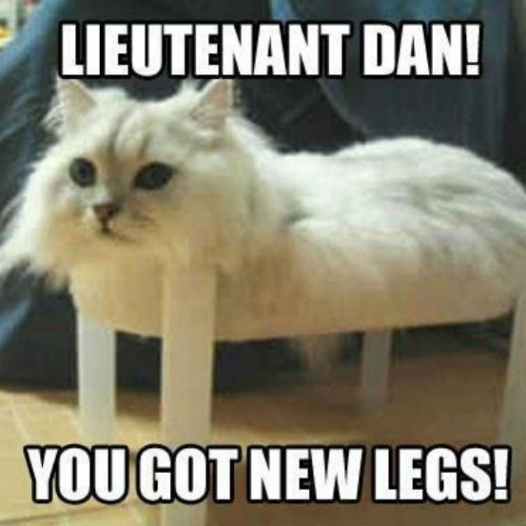 Lieutenant Dan Cat
