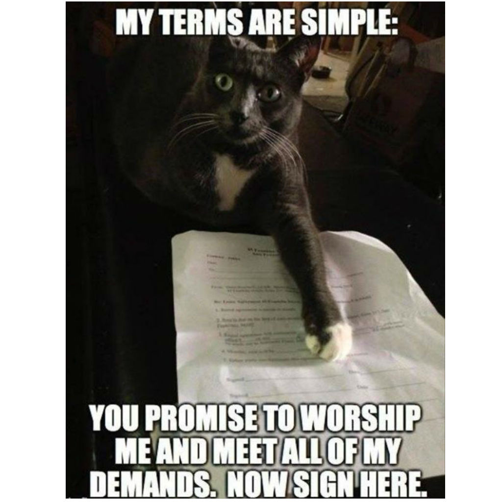 Cat Worshipper