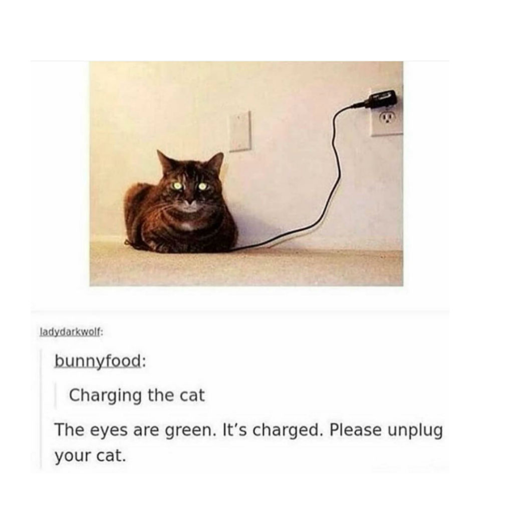 This cat has finished charging