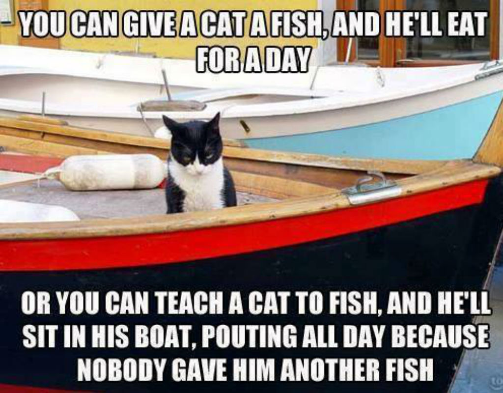 Cats don't fish