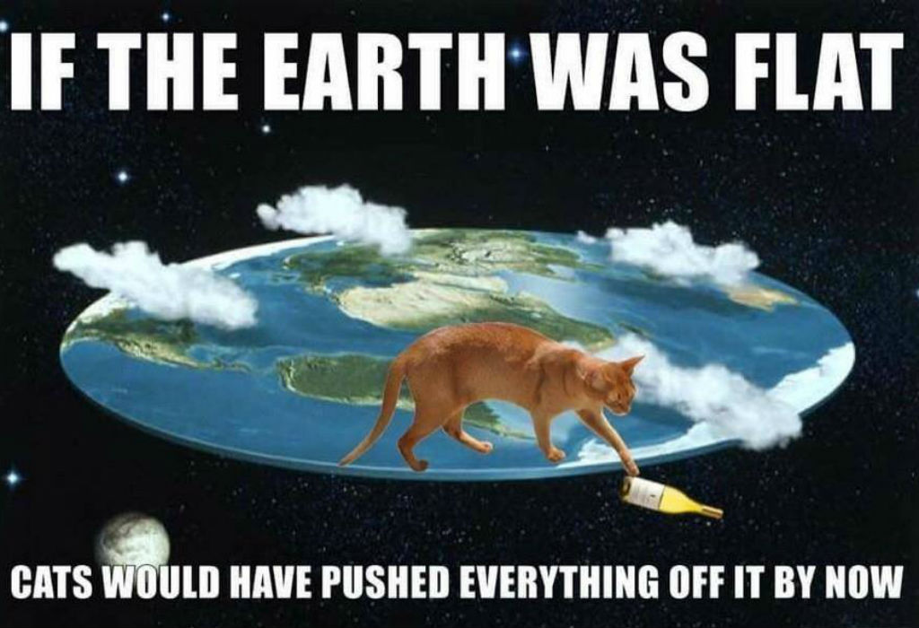 If the earth was flat cat meme