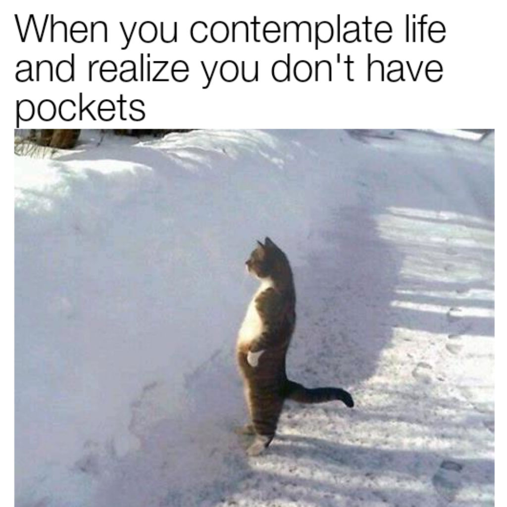 Cats don't have pockets