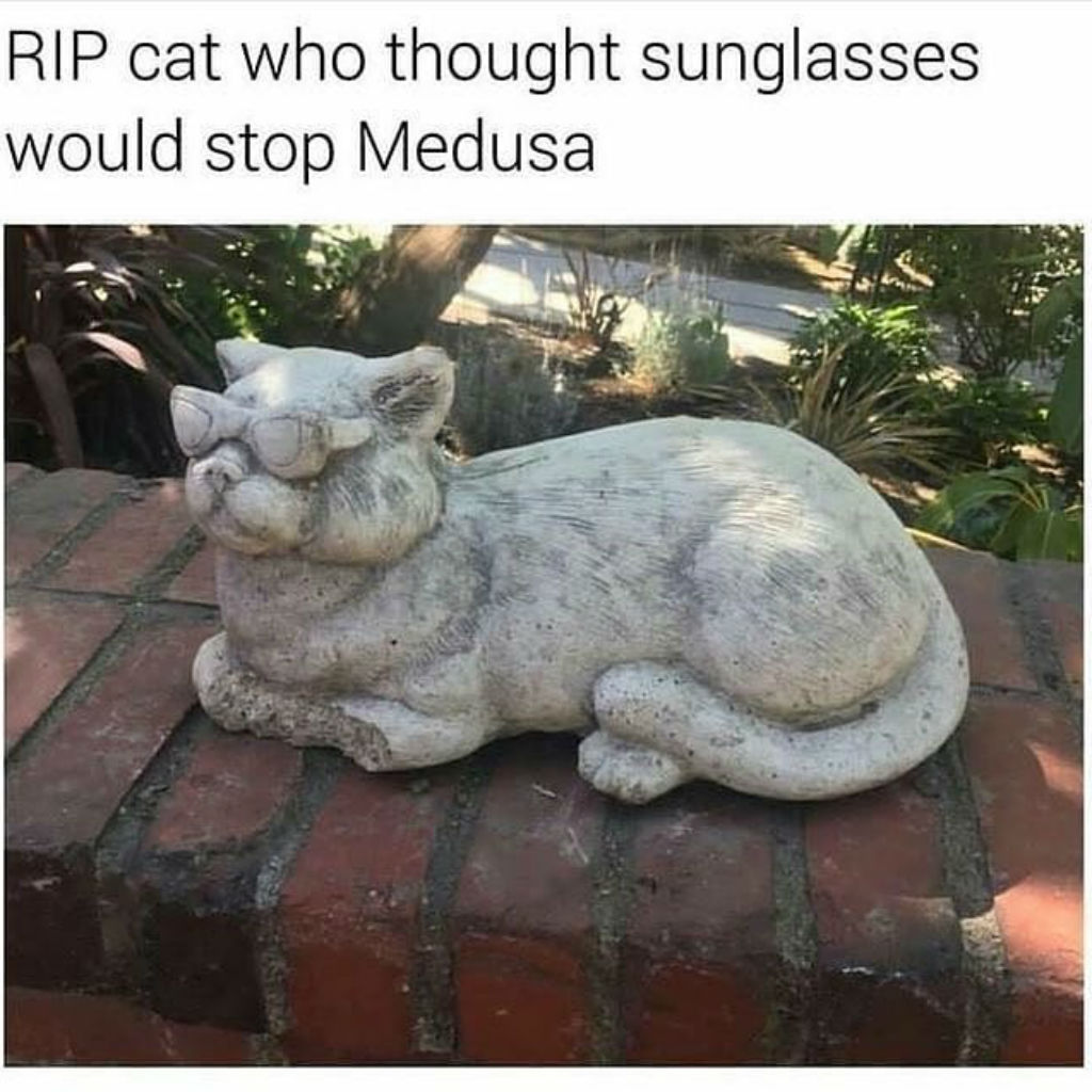 Cat turned to stone