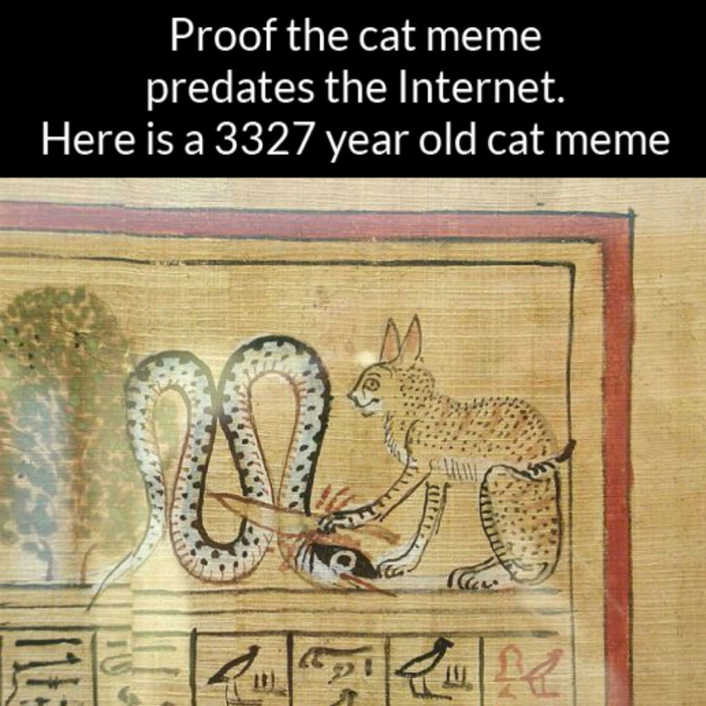 Oldest cat meme ever