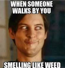 Funny Memes About Being High