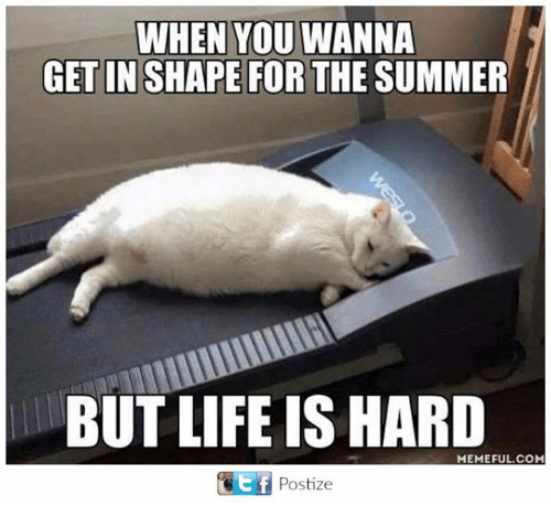 Funny Memes About getting in shape