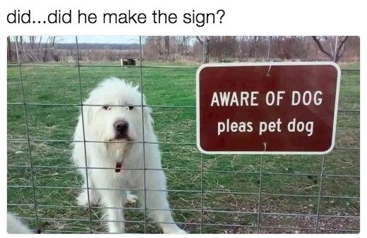 Please pet the dog