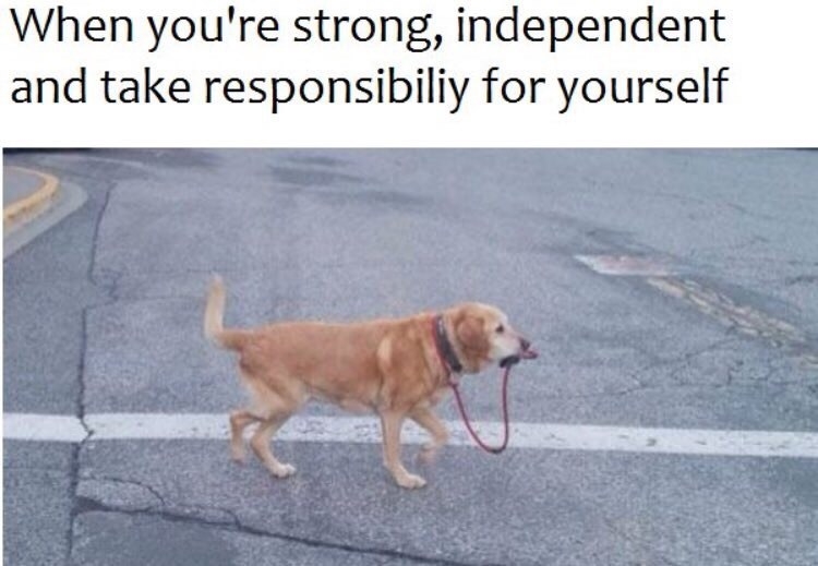 Doggy taking success and responsibility