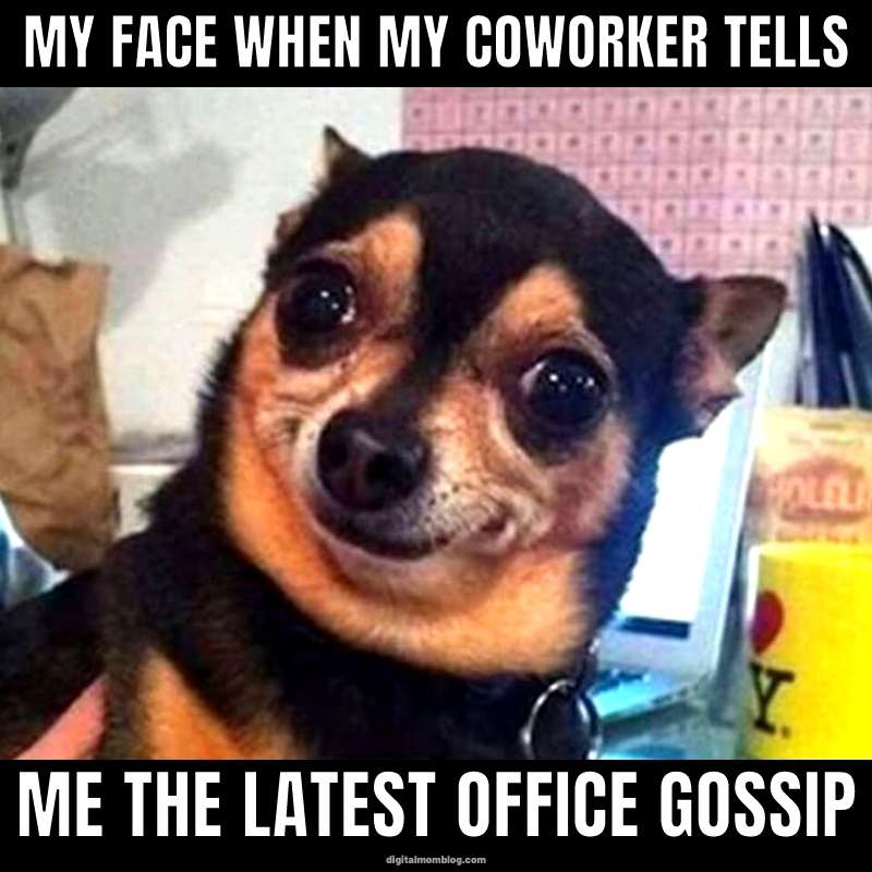 A little office gossip
